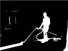 Geyen's Carpet Cleaner